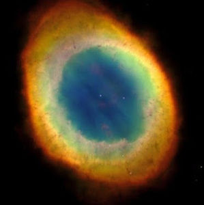 Meet your Posher, Van